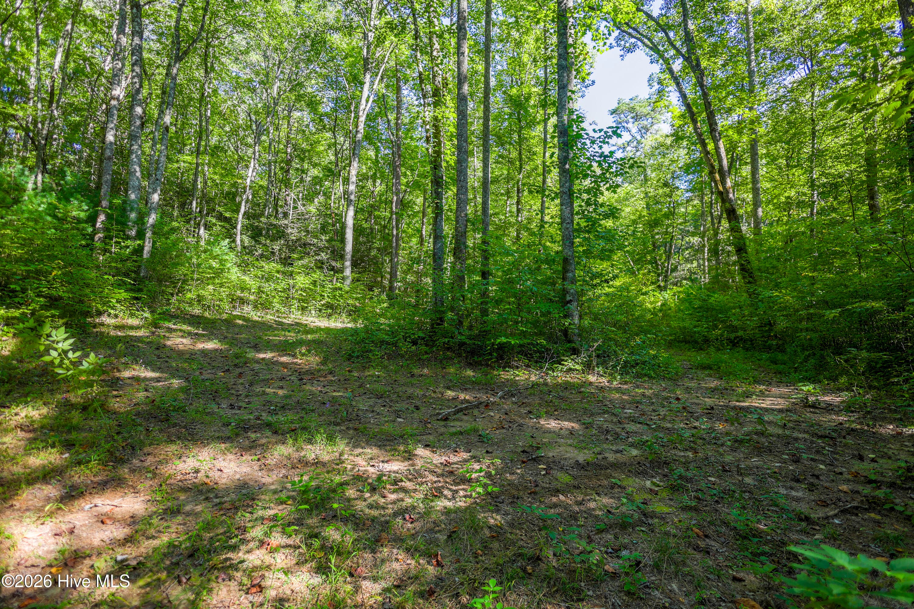 Wooded at 90 Ac Tree House Road, Andrews, NC 28901, photo 14 of 19