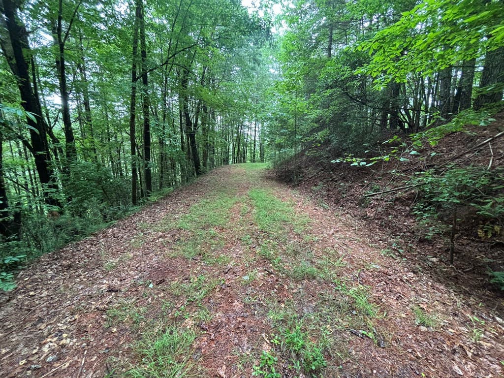 Land at Lot 11 Horse Camp Drive, Hayesville, NC 28904, Hayesville, photo 4 of 11