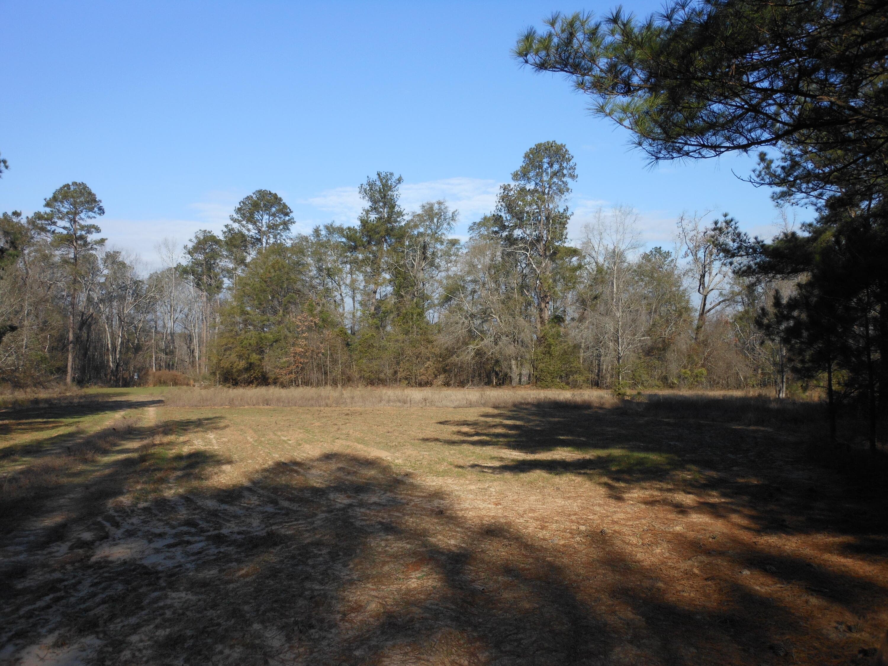 Undeveloped at 0 Ponderosa Road, Waynesboro, GA 30830, photo 23 of 45