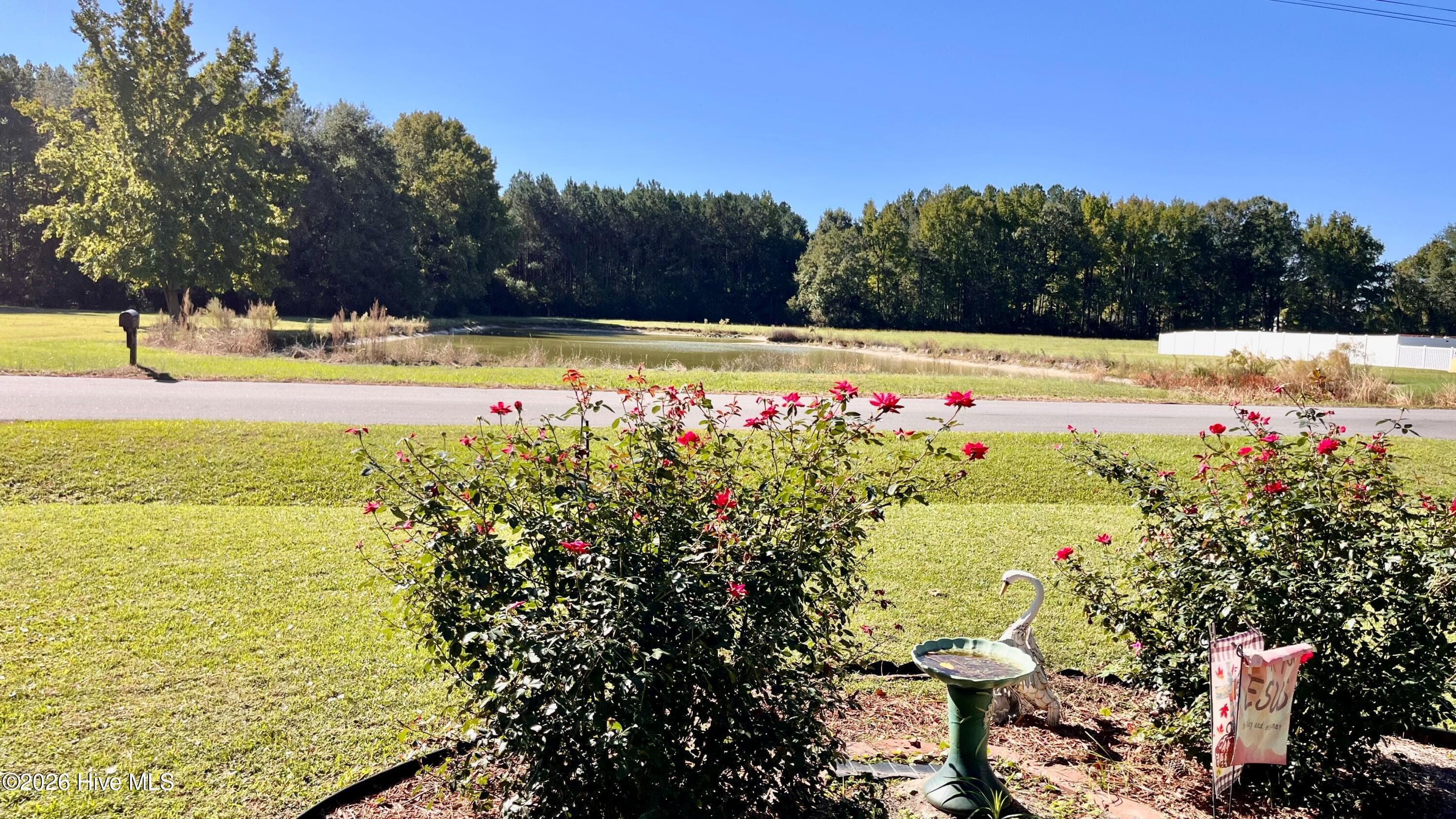 View of Large Pond across street from Home's Front Yard - 120 Ranch Drive, Elizabeth City, NC 27909