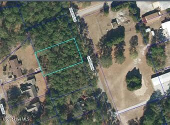 Residential Lot at 320 Hardison Drive, Minnesott Beach, NC 28510, photo 2 of 7
