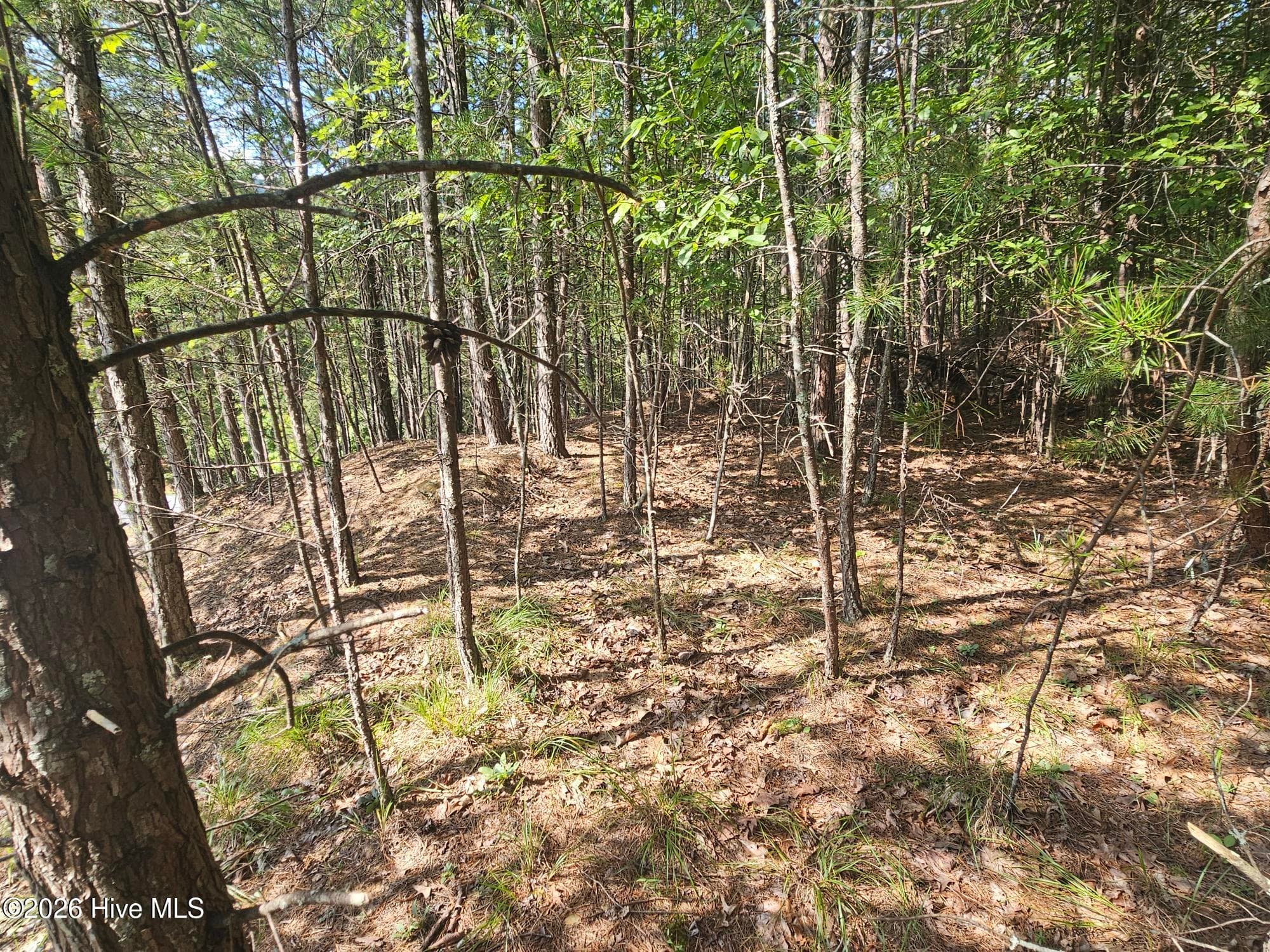 Residential Lot at Lot 76 Wildcat Drive, Murphy, NC 28906, photo 2 of 11