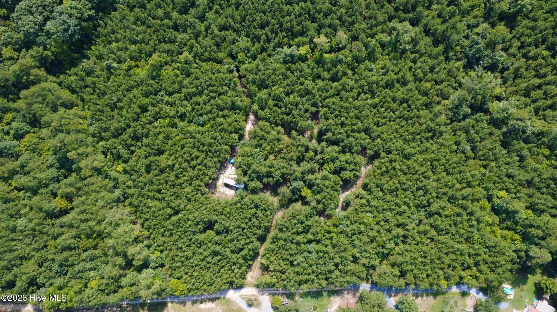 Undeveloped at 239 16 Lick Creek Road, Carthage, NC 28327, photo 4 of 12