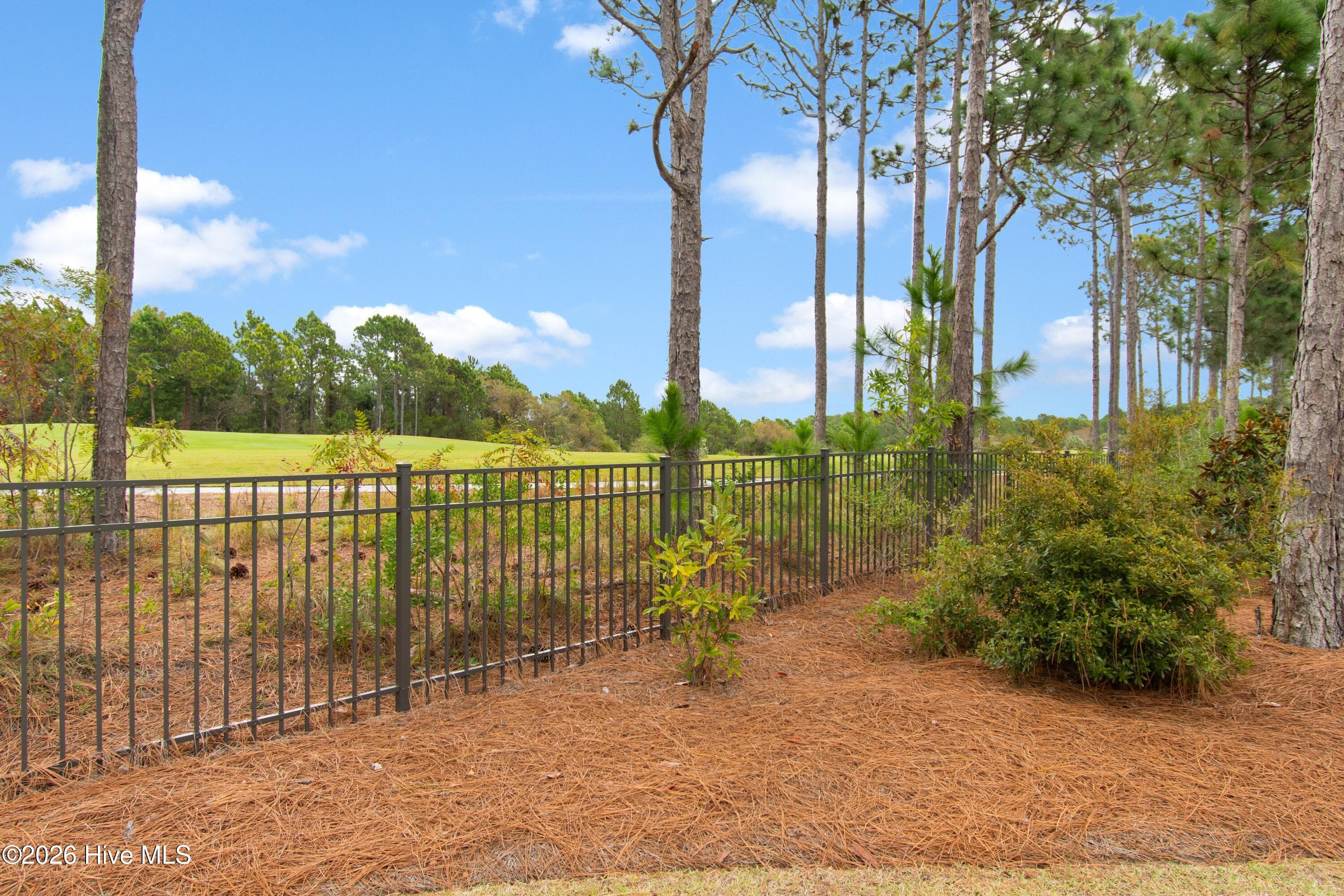 Single Family Residence at 3227 Moss Hammock Wynd, Southport, NC 28461, photo 7 of 87