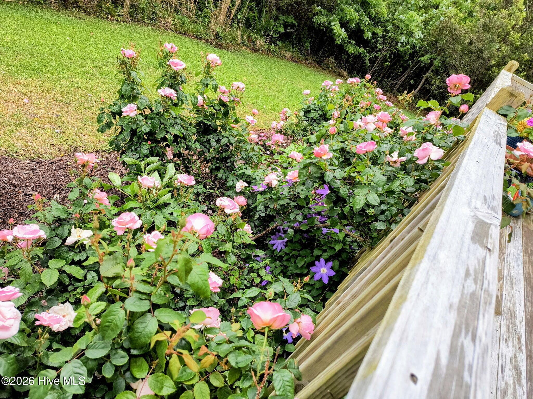 Back yard - 603 Trawler Place, Newport, NC 28570, Newport