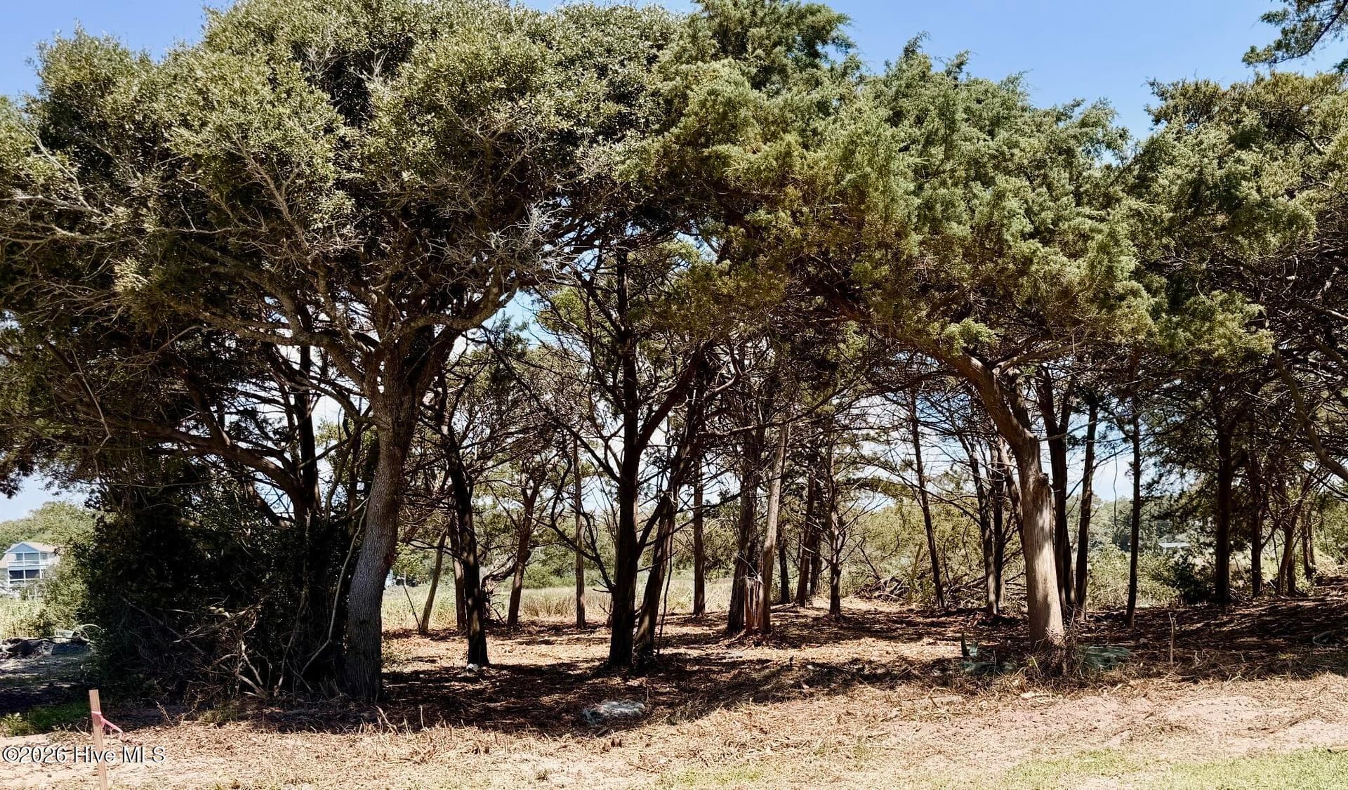 Lot 8 L-8 W Pelican Drive, Oak Island, NC 28465