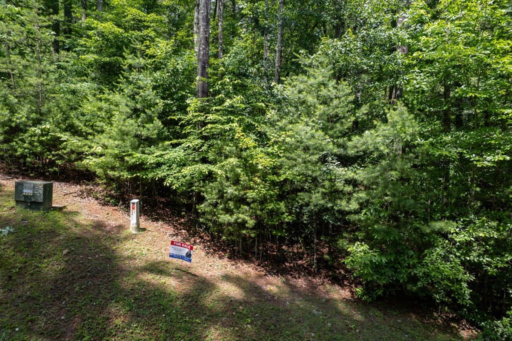 Residential Lot at Tbd 11 Spectacular Boulevard, Hayesville, NC 28904, Hayesville, photo 5 of 9