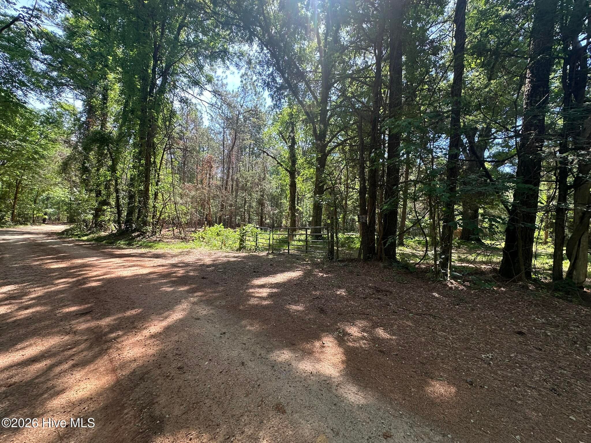Lot 4 Saggus Road, Washington, GA 30673