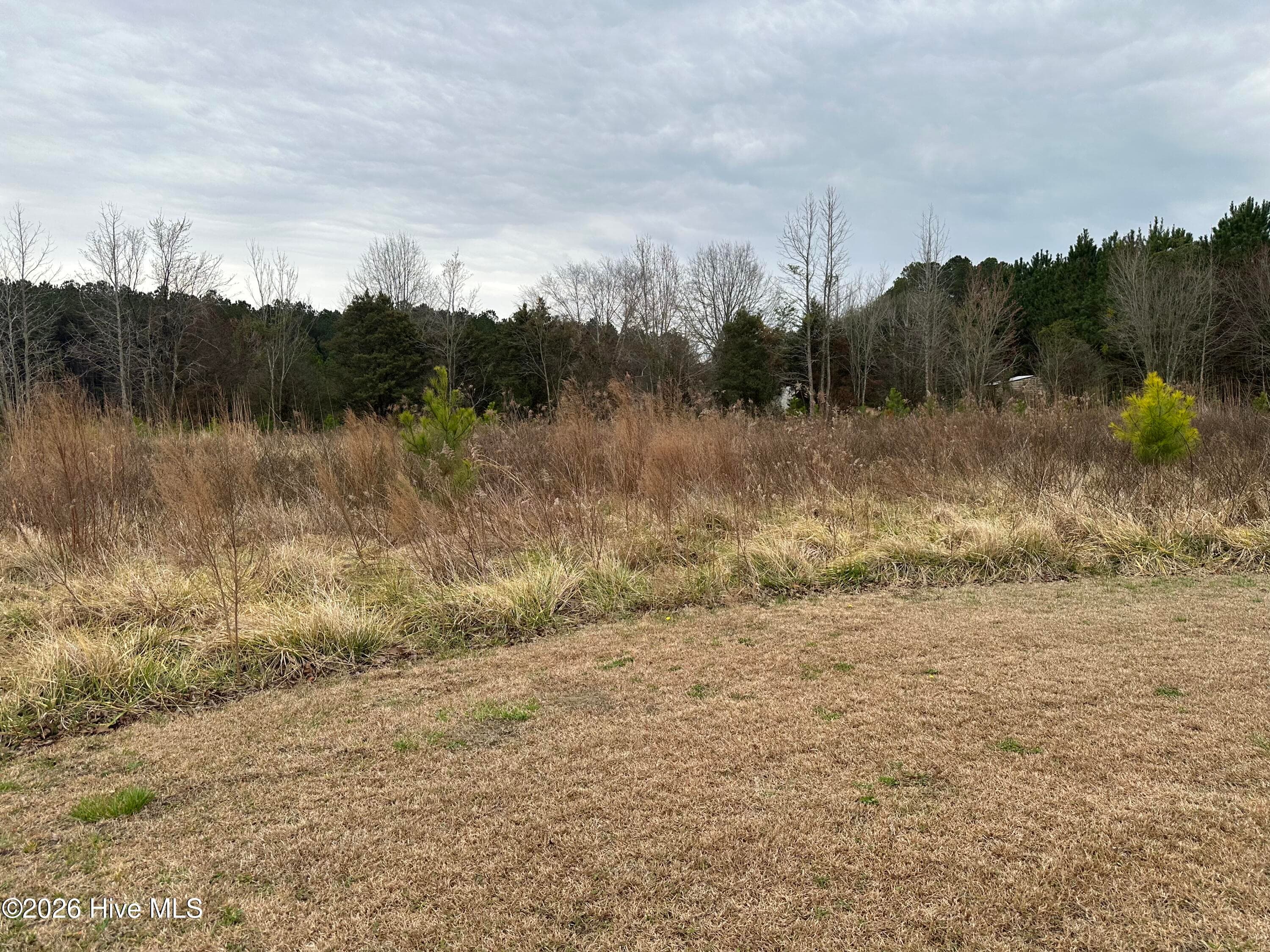 Near 18 Taylor Lane, Clarendon, NC 28432