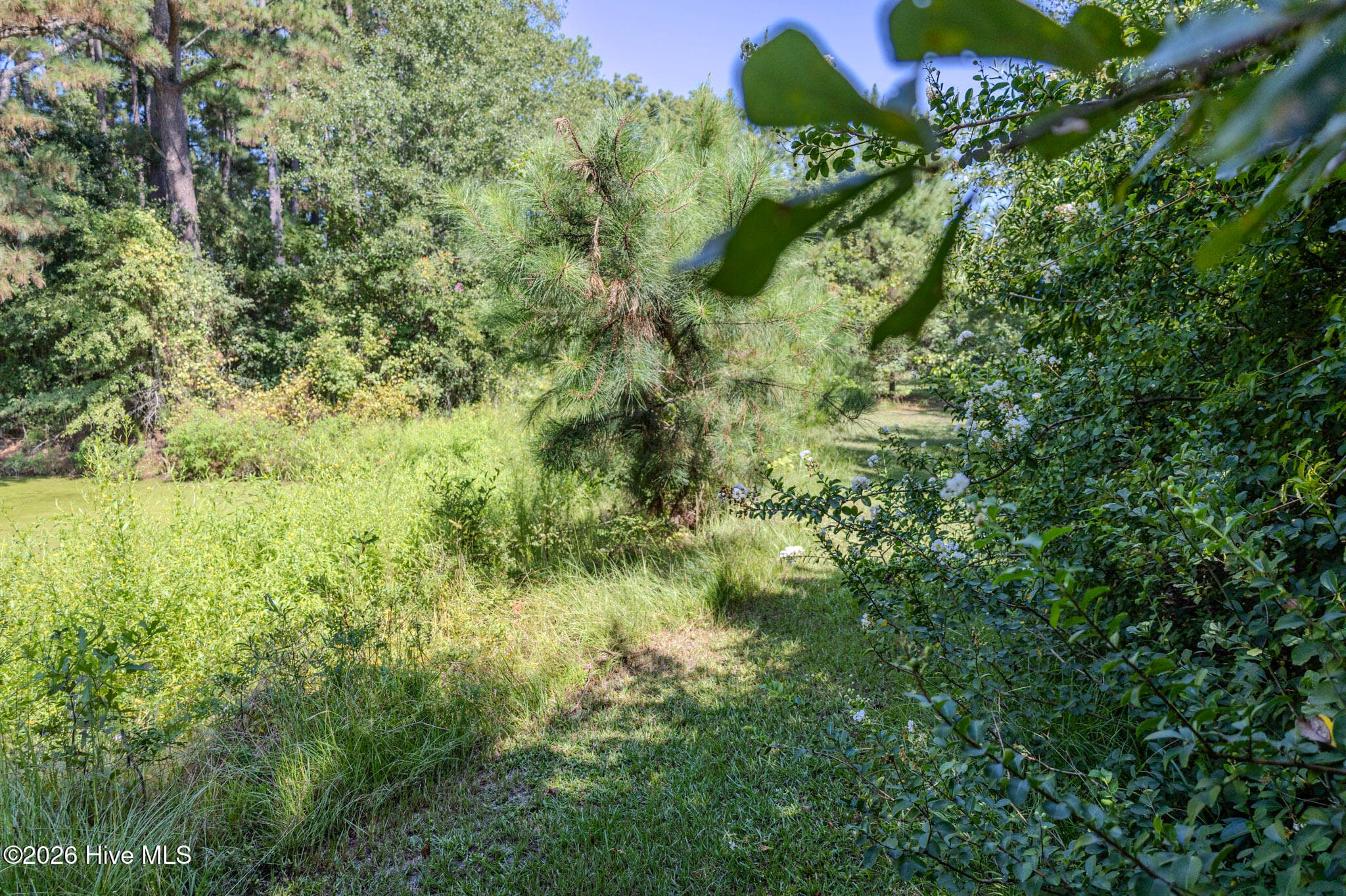 Single Family Residence at 602 E Gertrude Street, Fairmont, NC 28340, Fairmont, photo 6 of 7