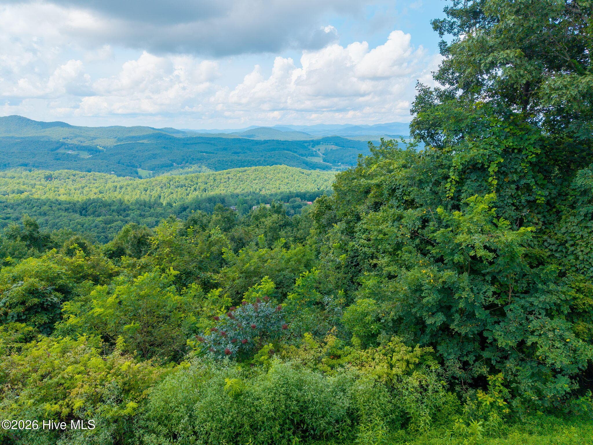 Undeveloped at 55 Buck Ridge Drive, Murphy, NC 28906, photo 9 of 15