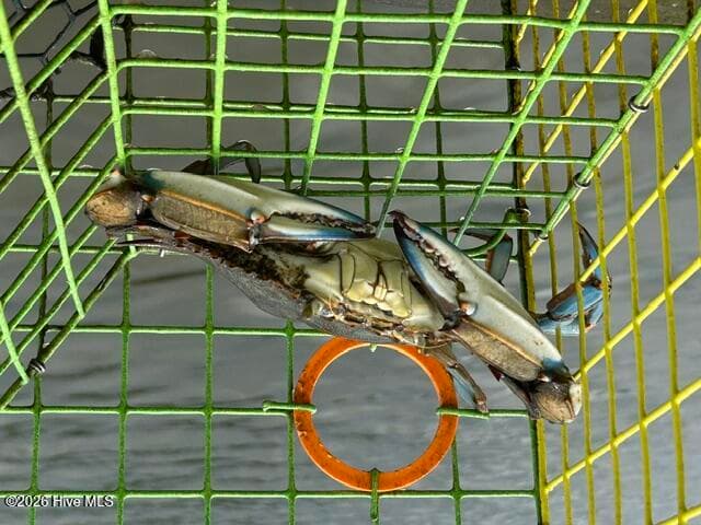 Caught off the pier - 674 Brooks Road, Bath, NC 27808