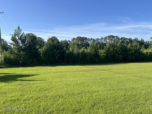 Undeveloped at 5499 Richlands Highway, Jacksonville, NC 28540, photo 9 of 11