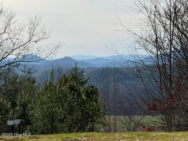Mixed Use at 8,9 8,9 Downings Creek Road, Hayesville, NC 28904, Hayesville, photo 9 of 13