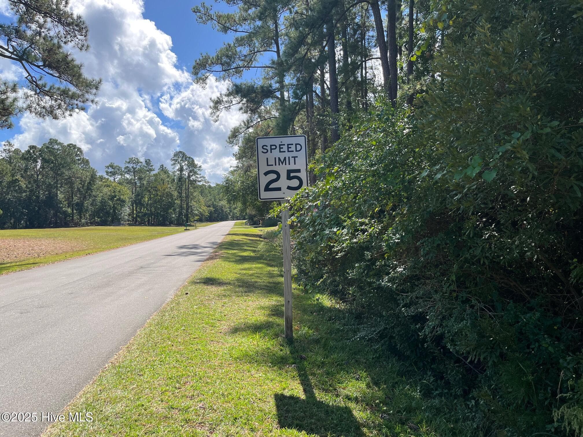 Residential Lot at 320 Hardison Drive, Minnesott Beach, NC 28510, photo 3 of 7