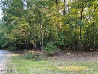 Residential Lot at 91a Palomino Road, Carthage, NC 28327, photo 3 of 6