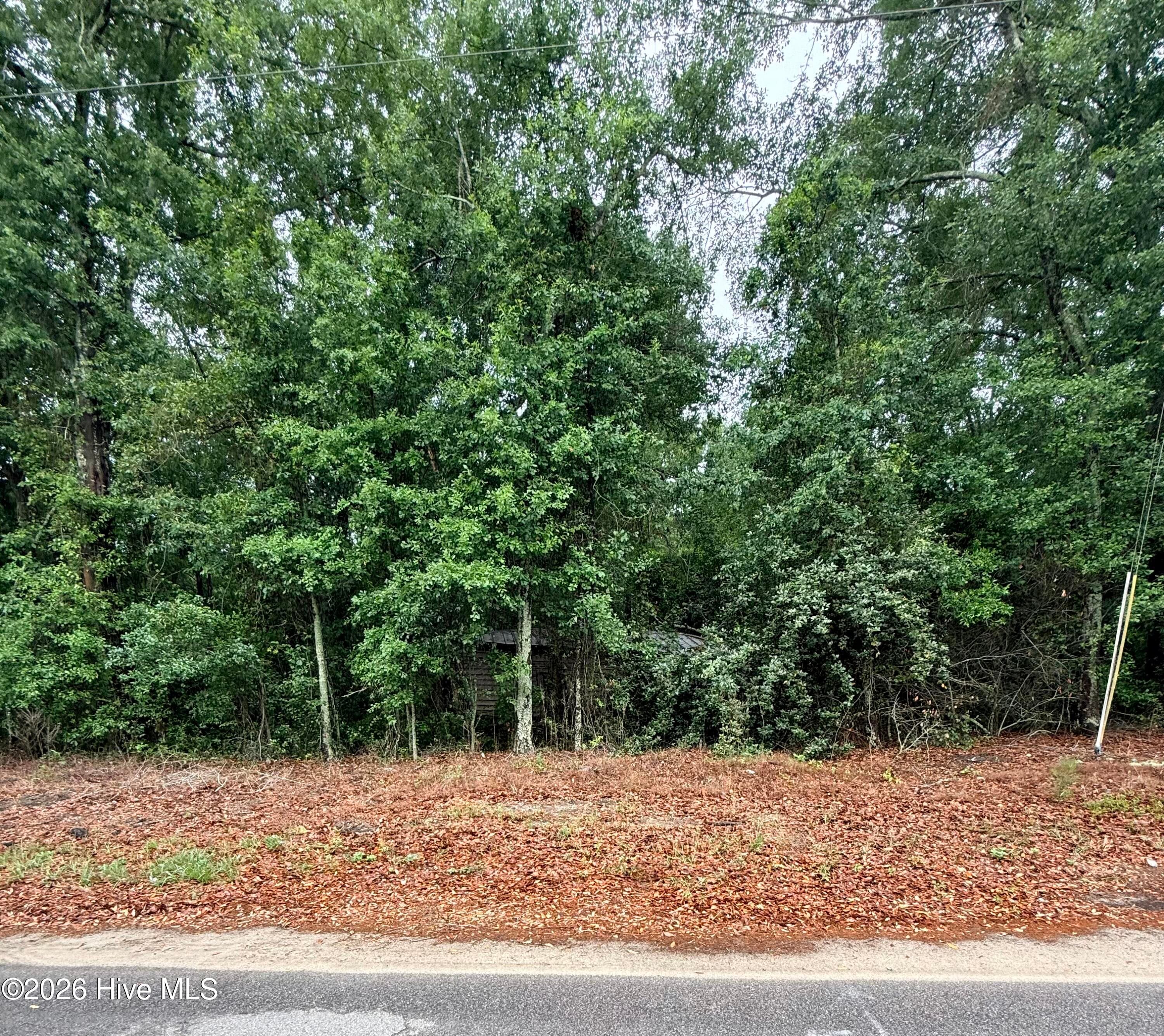 0 Alma Drive, North, SC 29112