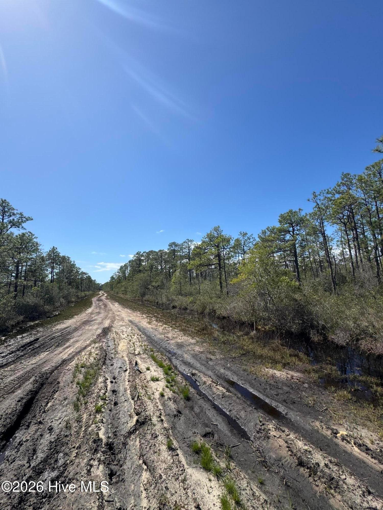 Lot 316 Colombus Rd 2 - Lot 316 Columbus Road, Boiling Spring Lakes, NC 28461