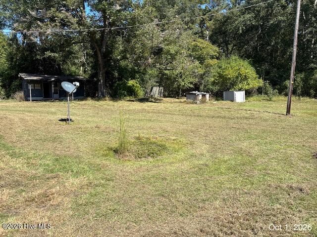 side yard - 293 Sunshine Road, Blackville, SC 29817