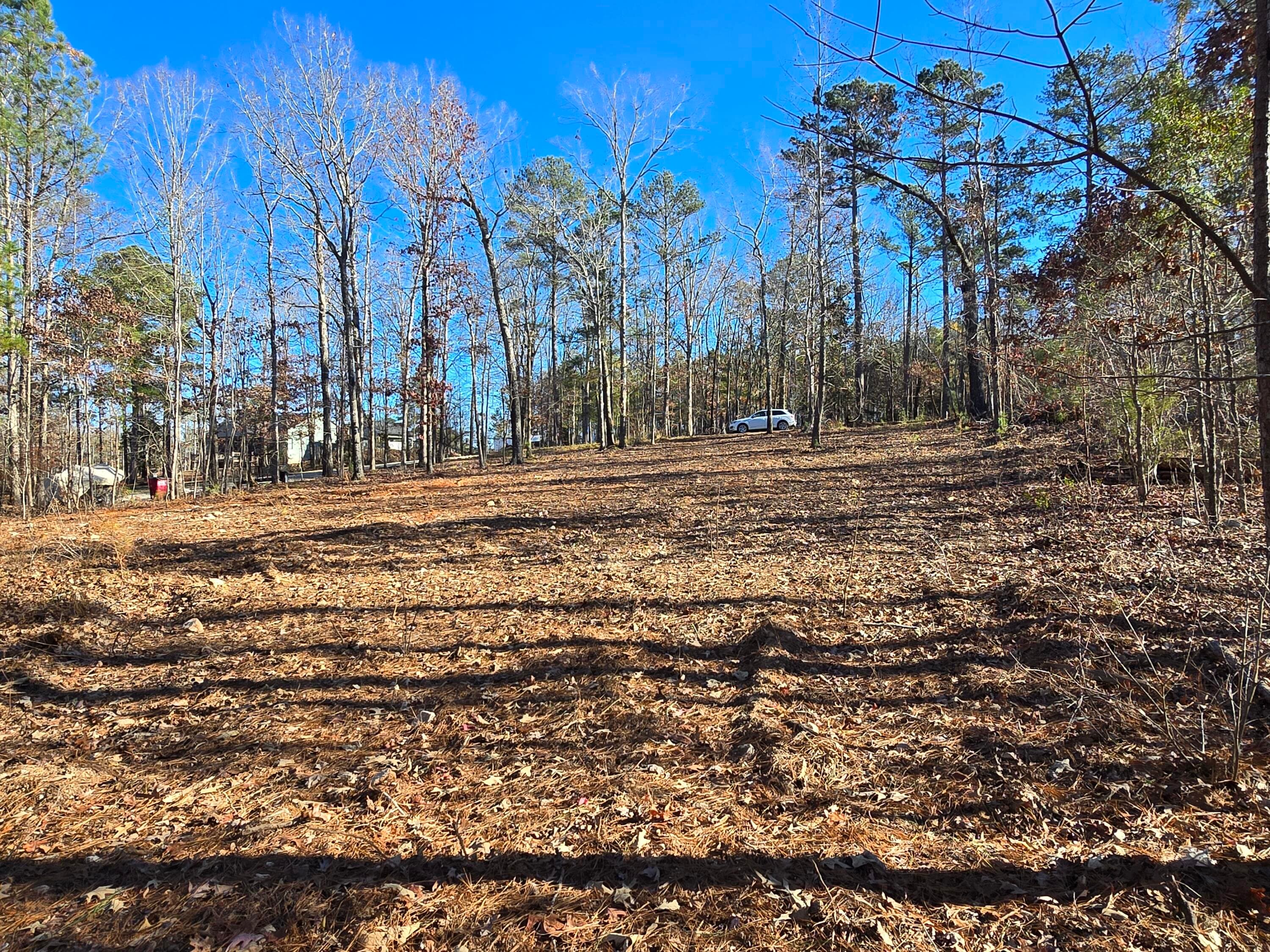 Residential Lot at 1102 Dogwood Drive, Lincolnton, GA 30817, photo 46 of 46