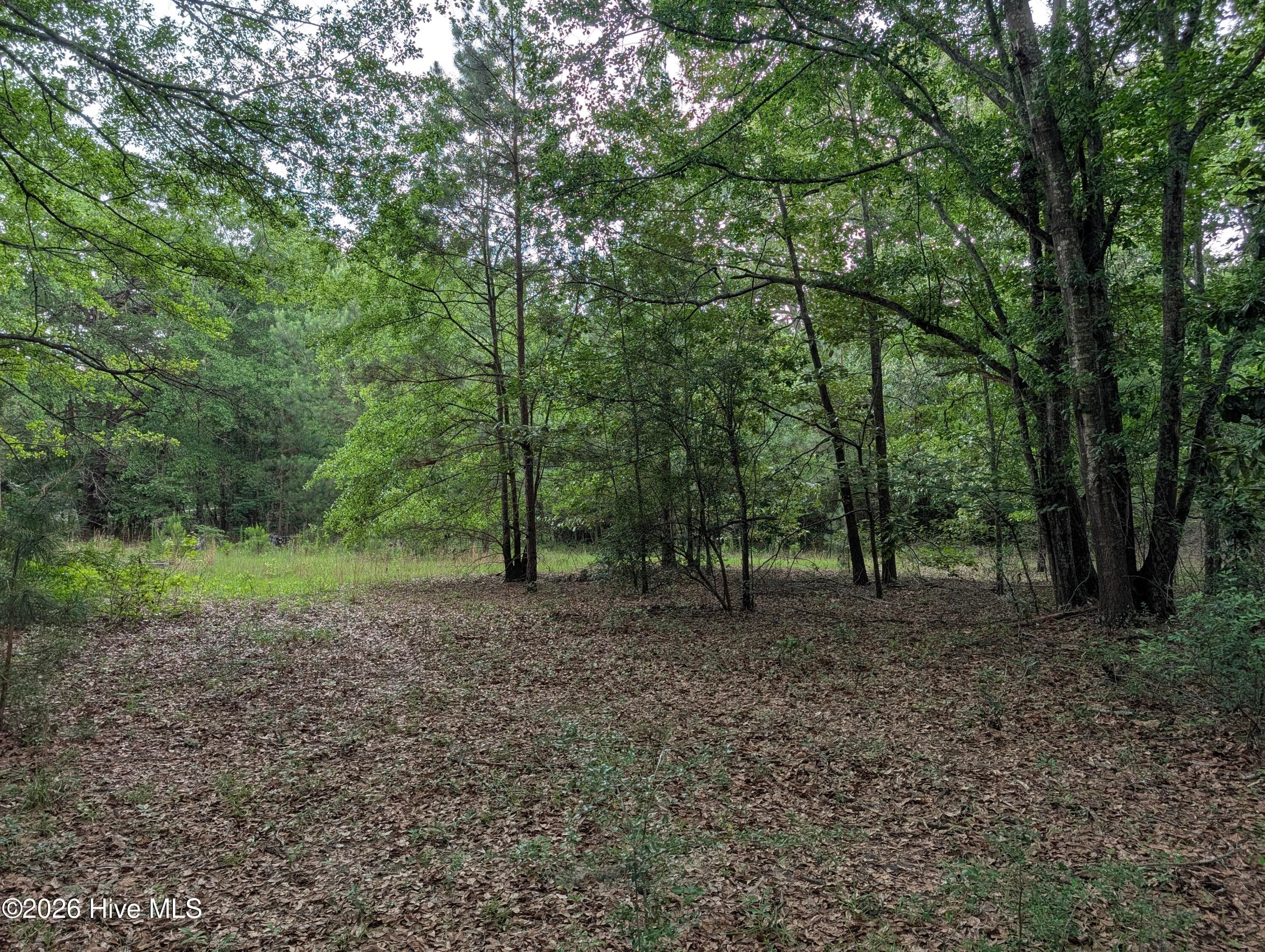 Residential Lot at 285 Garvin Drive, Wagener, SC 29164, photo 3 of 14