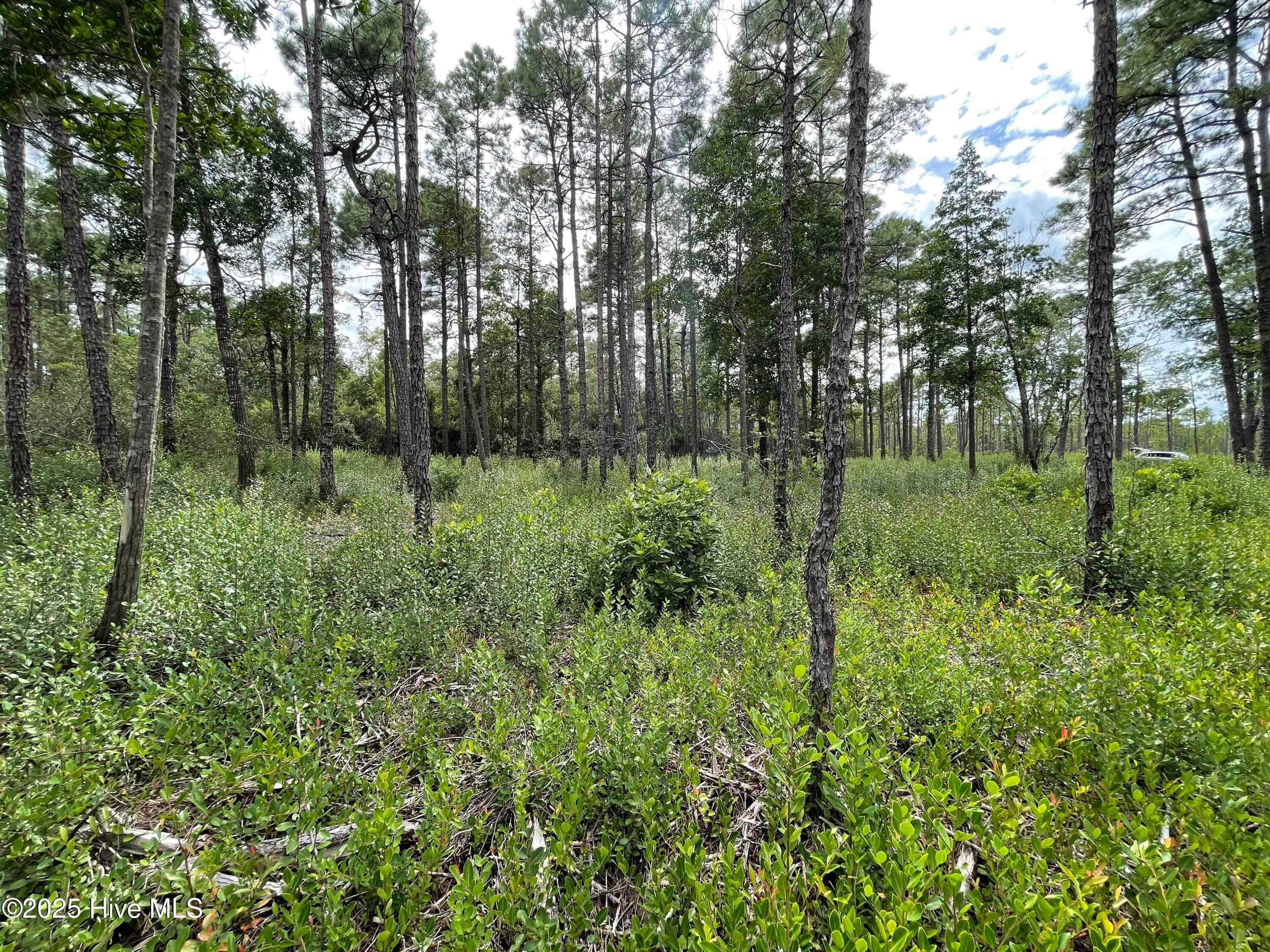 Residential Lot at 811 Brittany Road, Southport, NC 28461, photo 13 of 25
