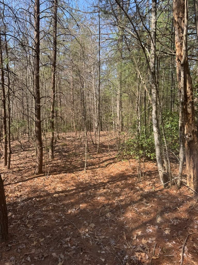 Residential Lot at 00 Blue Ridge Heights, Hayesville, NC 28906, Hayesville, photo 5 of 11
