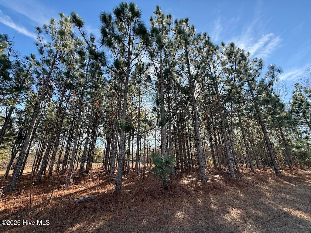 Mixed Use at 00 Highway 42, Tarboro, NC 27886, photo 2 of 6