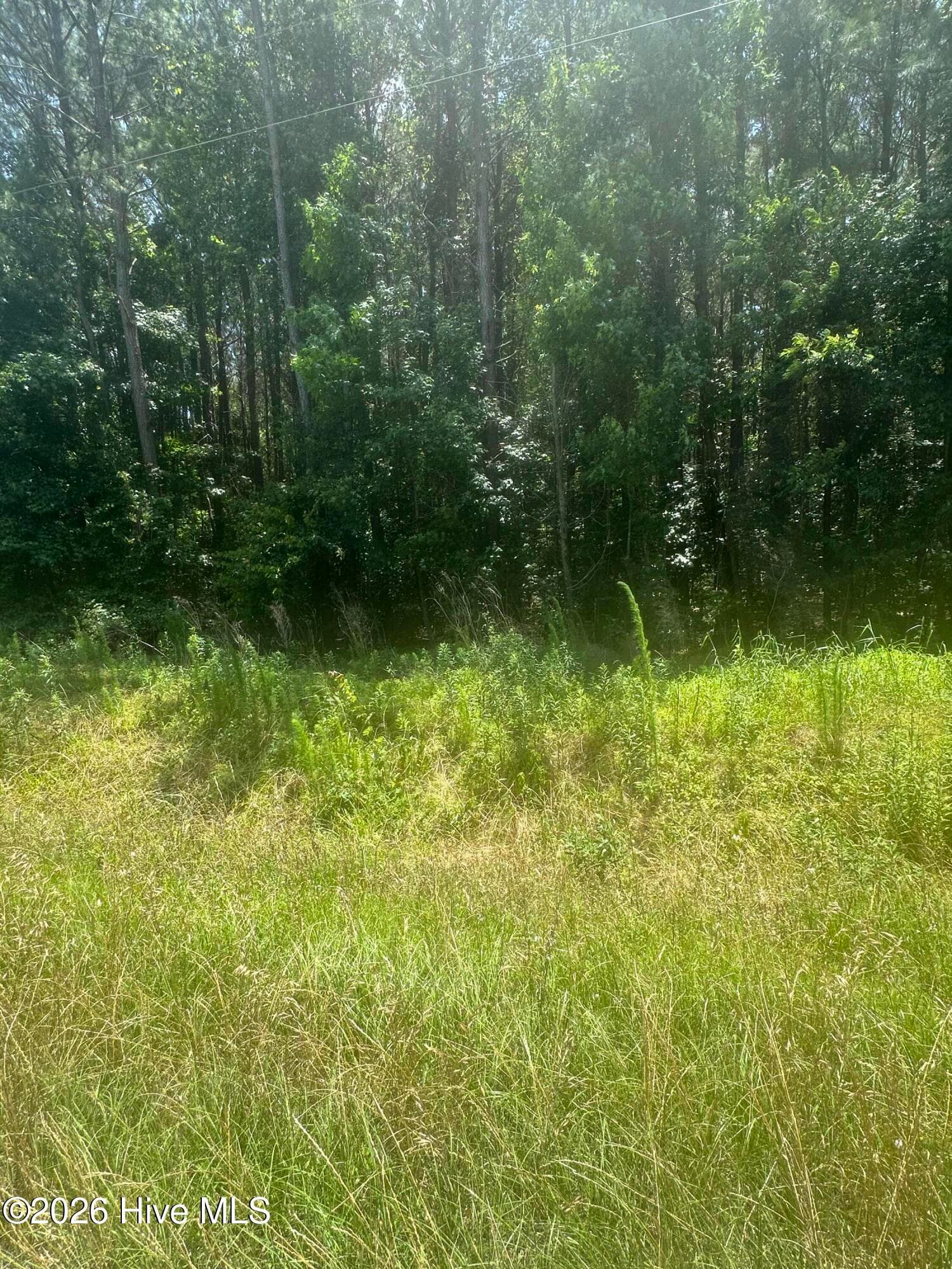 Near 721 Near 721 Joe Piver R Road, Chadbourn, NC 28431
