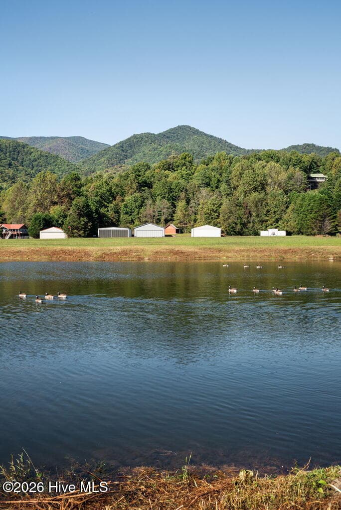 Single Family Residence at 360 Serenity Lane, Hayesville, NC 28904, photo 4 of 101