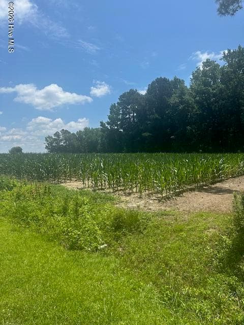 Wooded at Near 721 Near 721 Joe Piver R Road, Chadbourn, NC 28431, photo 2 of 21