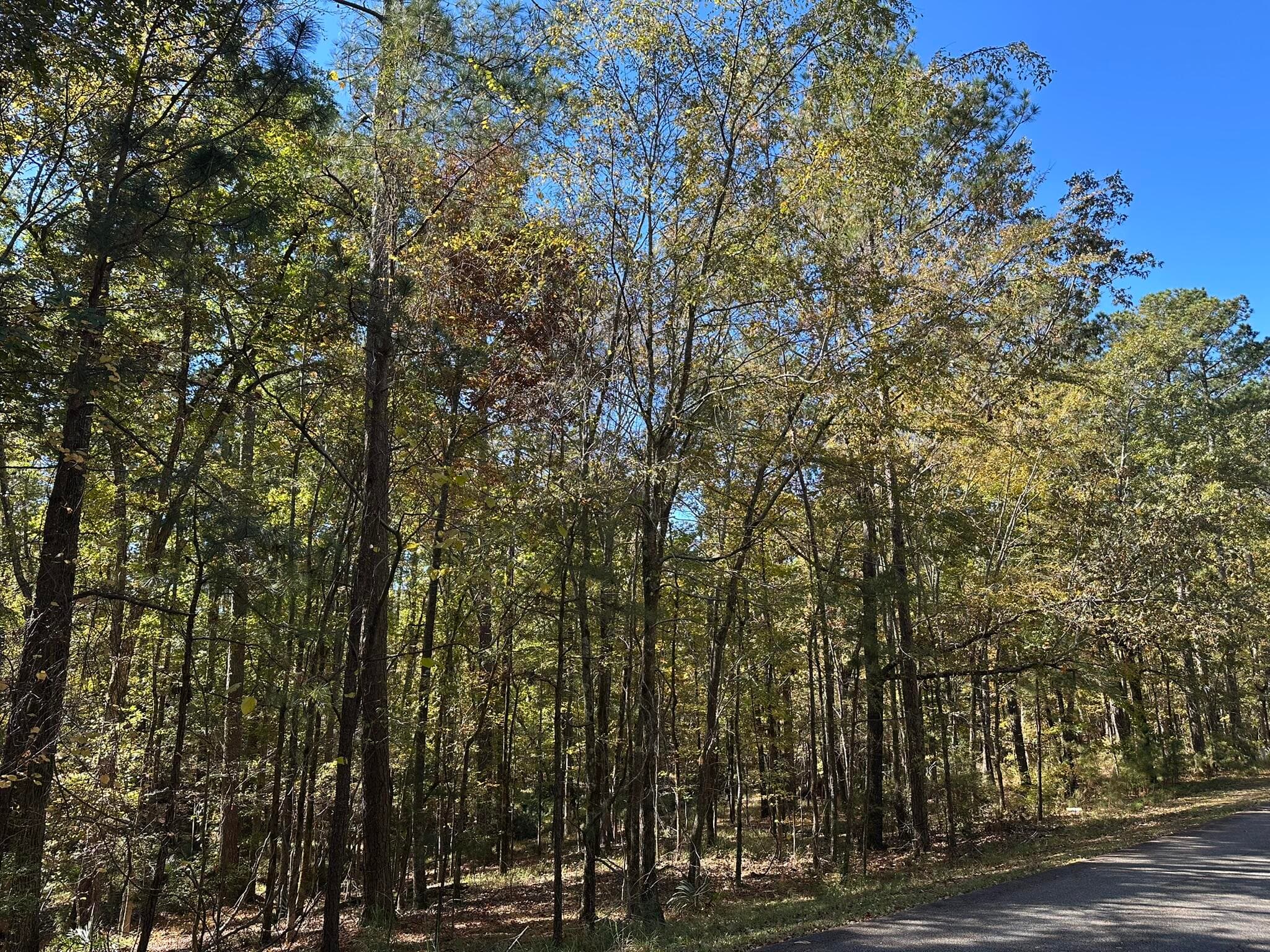 Residential Lot at 167 7 Southwind Drive, McCormick, SC 29835, photo 2 of 18