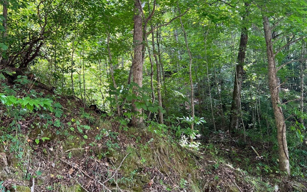 Land at Lot 77 77 Fires Creek Cove, Hayesville, NC 28904, Hayesville, photo 3 of 19