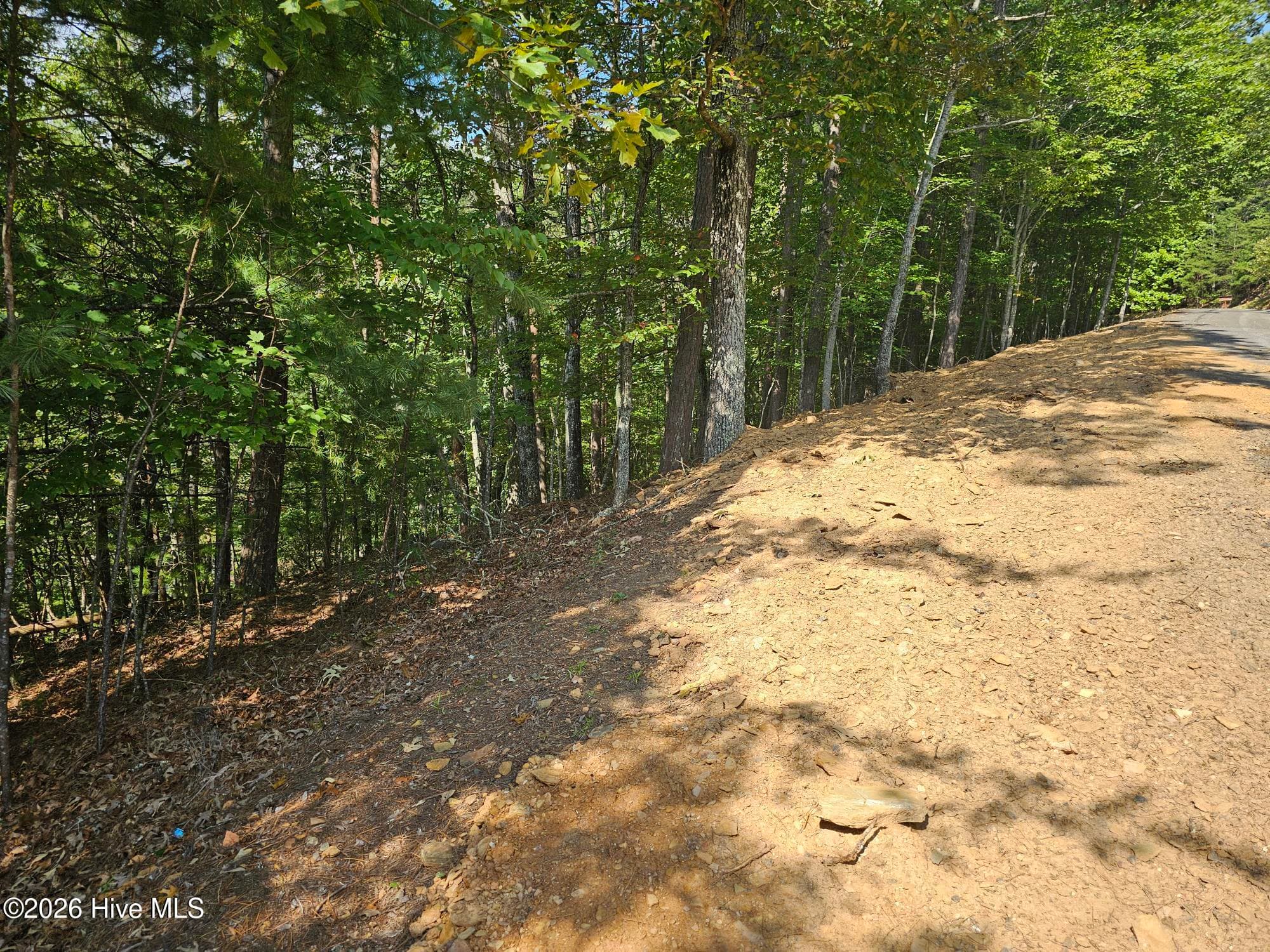 Residential Lot at Lot 76 Wildcat Drive, Murphy, NC 28906, photo 6 of 11