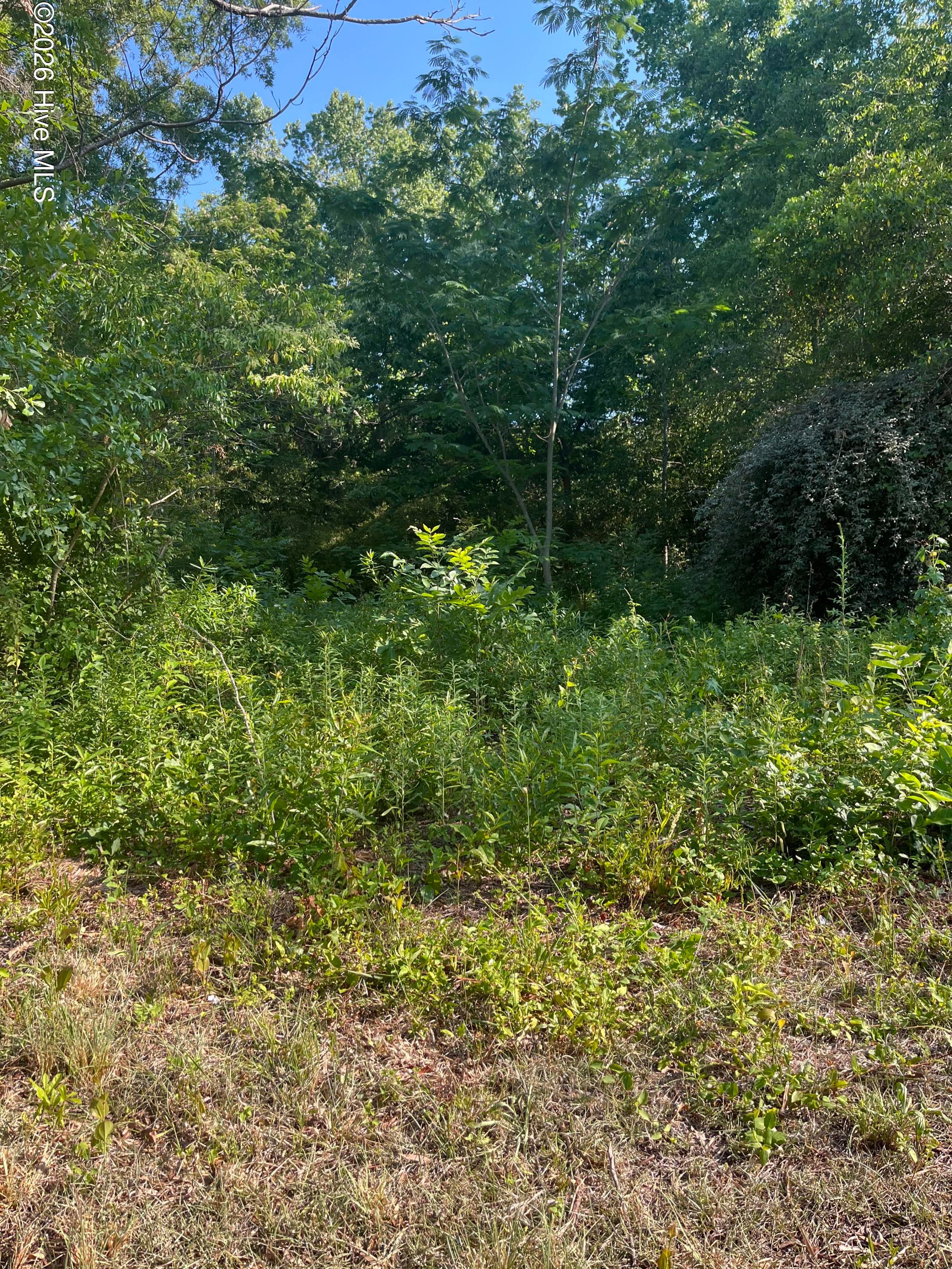 166 Douglas Street, Laurinburg, NC 28352