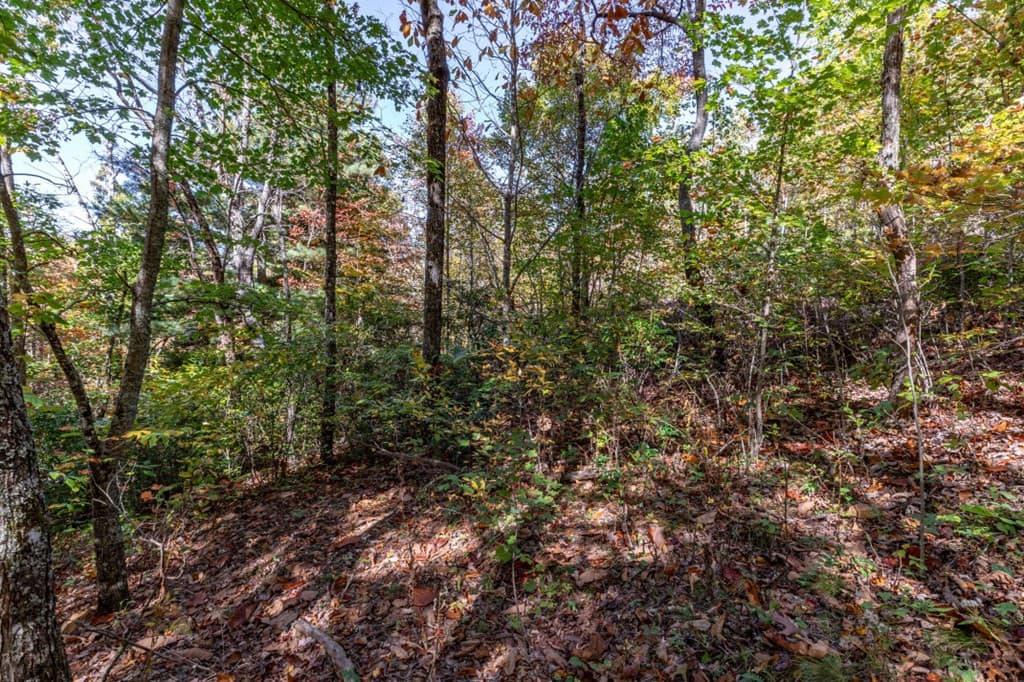 Undeveloped at Lot 38 38 Skyview At Wildlife Acres, Hayesville, NC 28904, Hayesville, photo 9 of 32