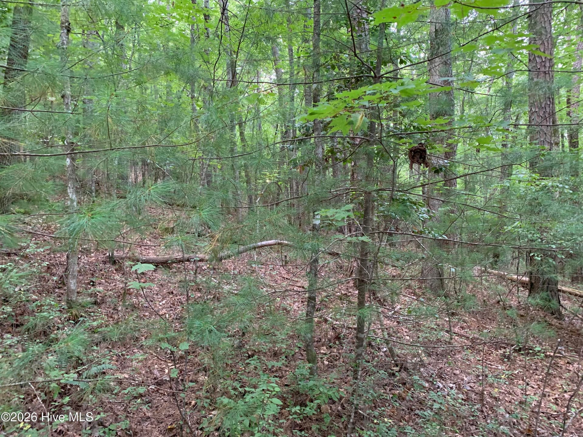 Wooded at 2.87 Ac Hedden Road, Murphy, NC 28906, photo 7 of 14