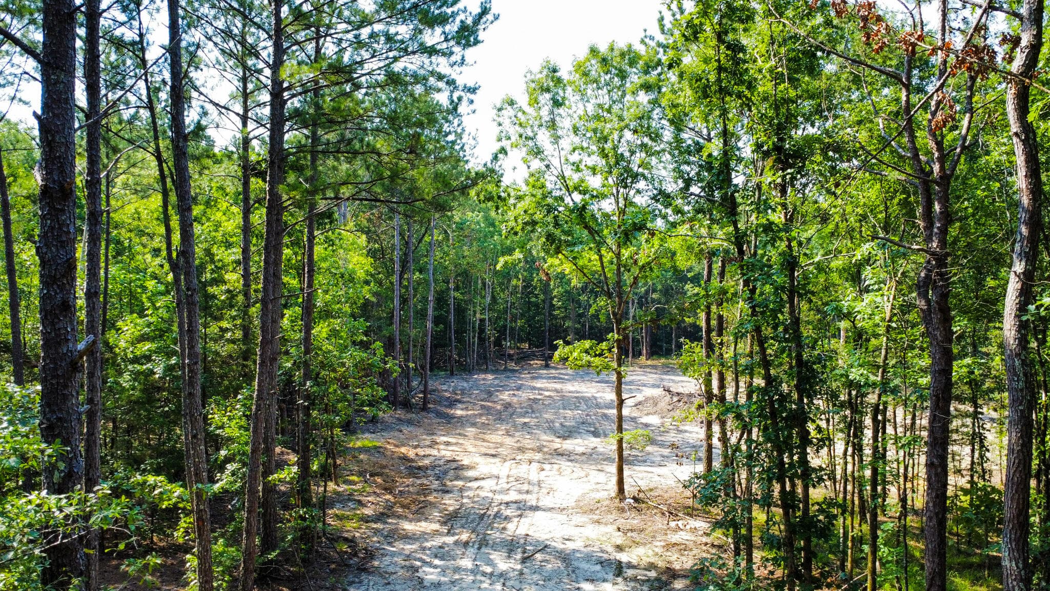 Undeveloped at 0 Backway Road, Lincolnton, GA 30817, photo 26 of 48