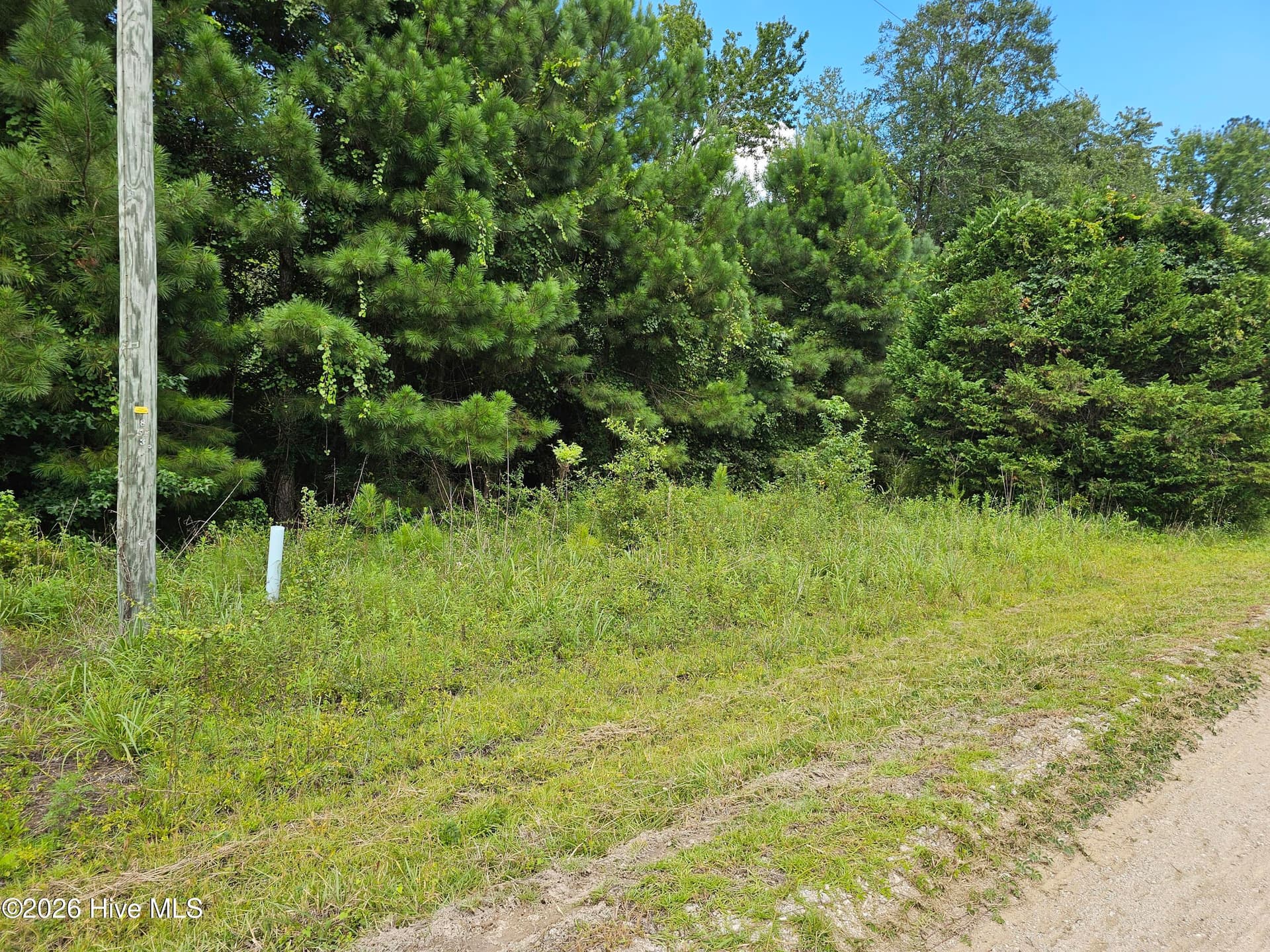 Wooded at Lot 2 2 Auburn Drive, Loris, SC 29569, photo 4 of 8
