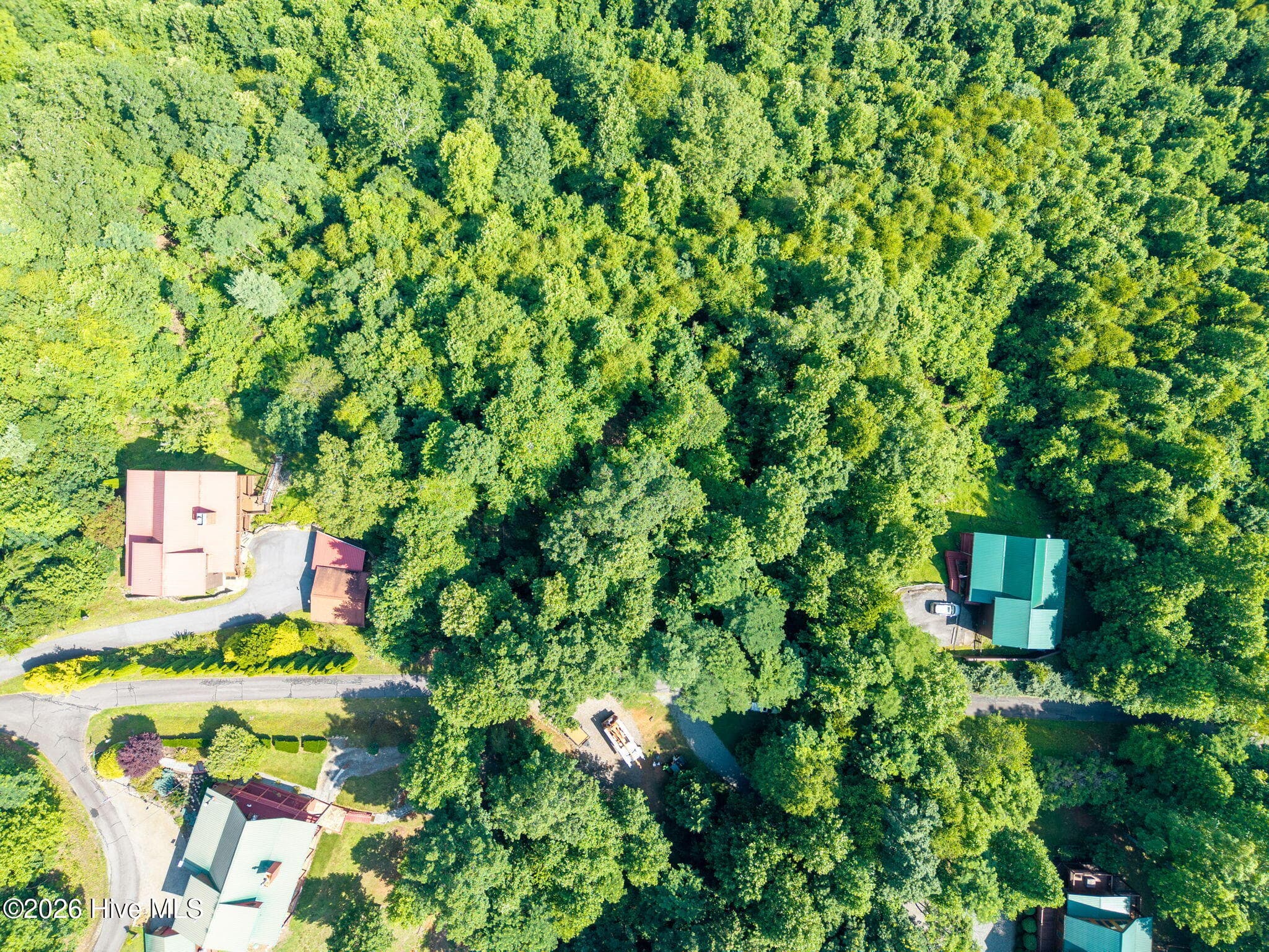 Undeveloped at 46 Buck Ridge Drive, Murphy, NC 28906, photo 4 of 17