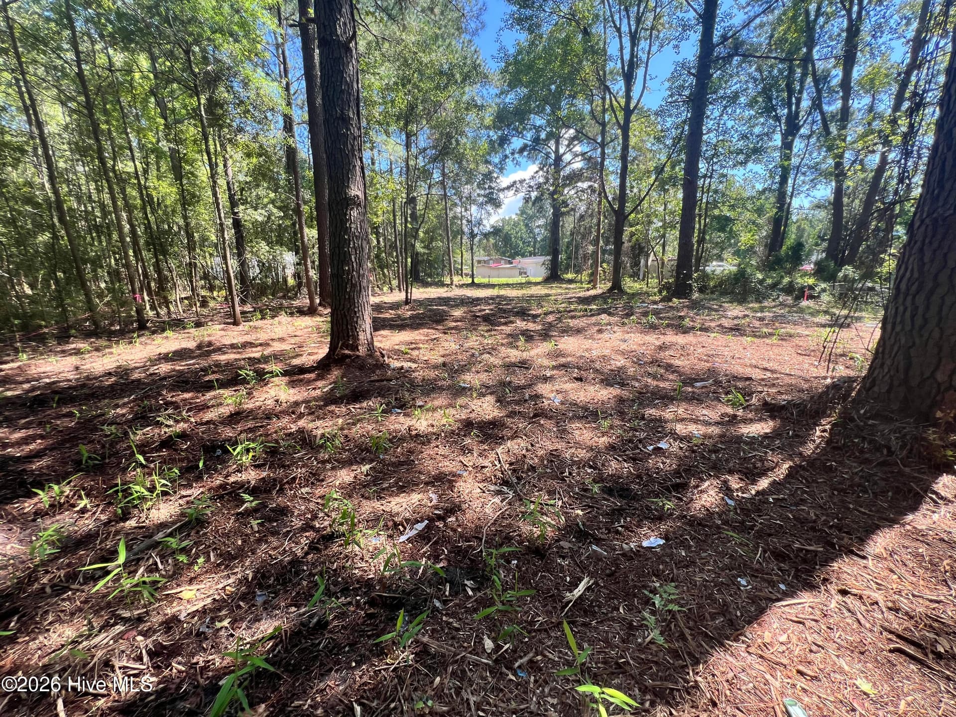 Residential Lot at Lot 1 Elm Street, Belhaven, NC 27810, photo 8 of 8