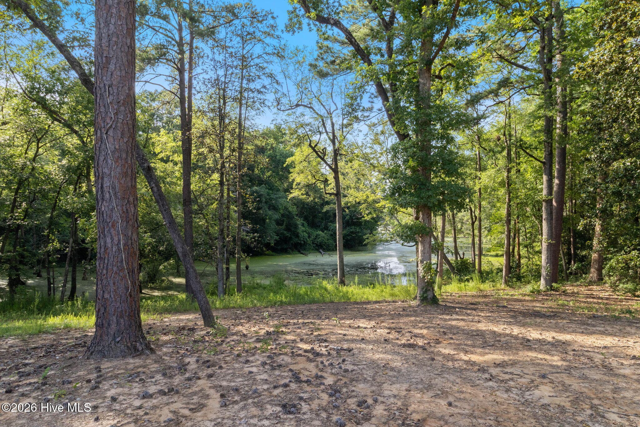 Single Family Residence at 820 Saint Pauls Drive, Raeford, NC 28376, photo 30 of 45
