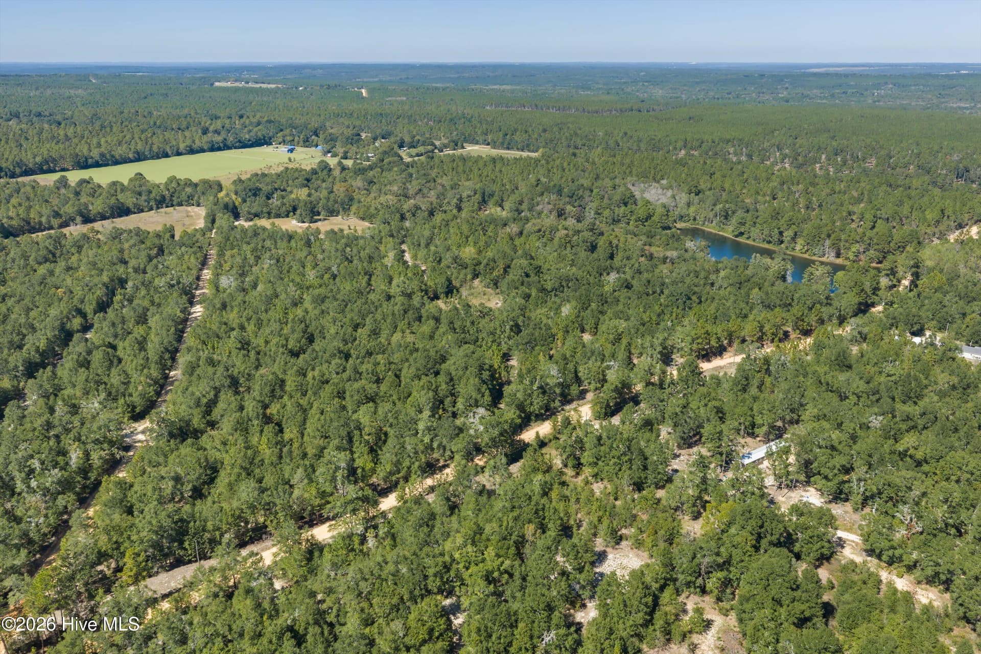 Residential Lot at 000.0 Mary Rawls Road, Wagener, SC 29164, photo 2 of 21