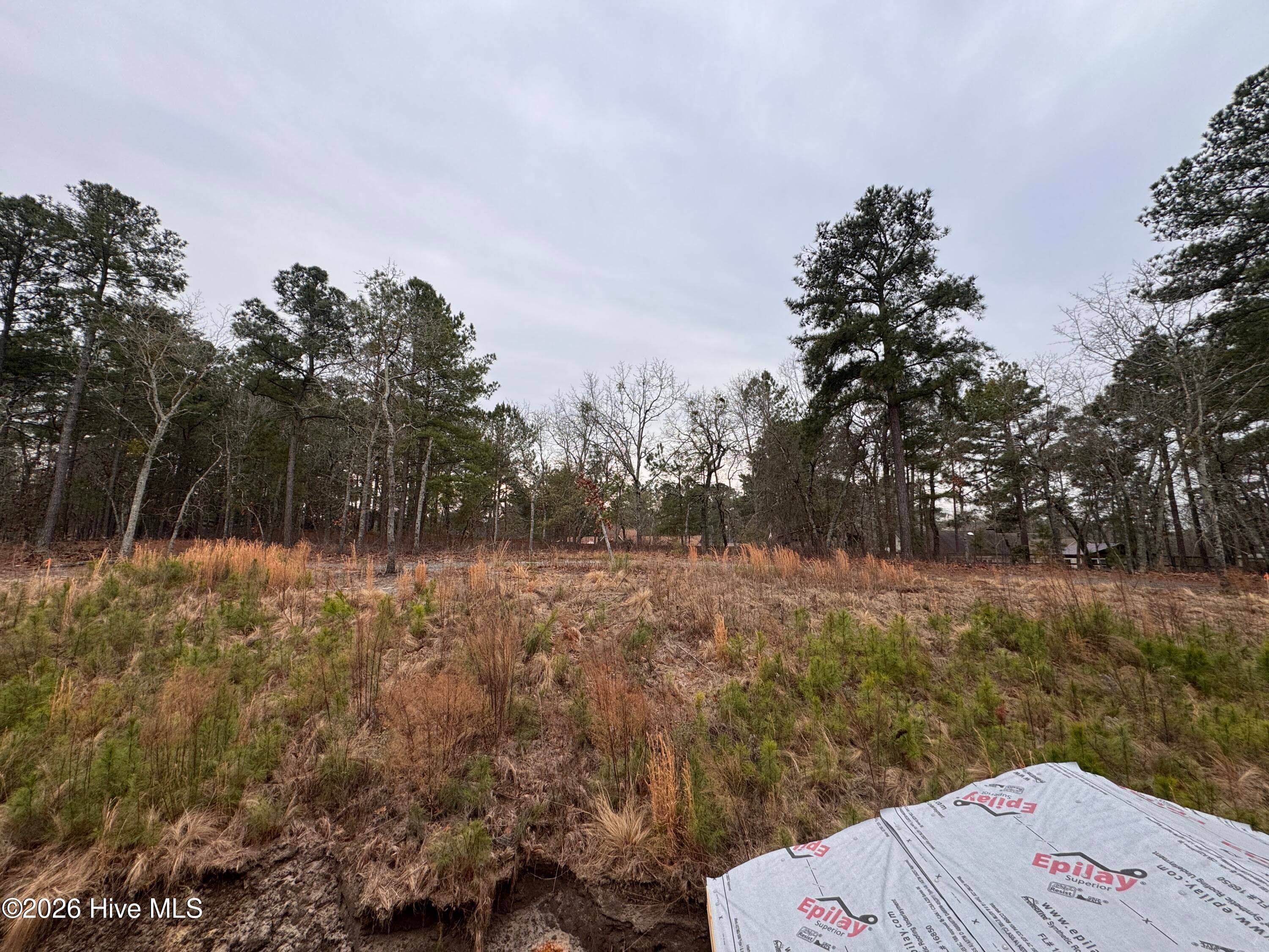 Single Family Residence at 298 Rough Ridge Trail 29, Aberdeen, NC 28315, photo 117 of 189