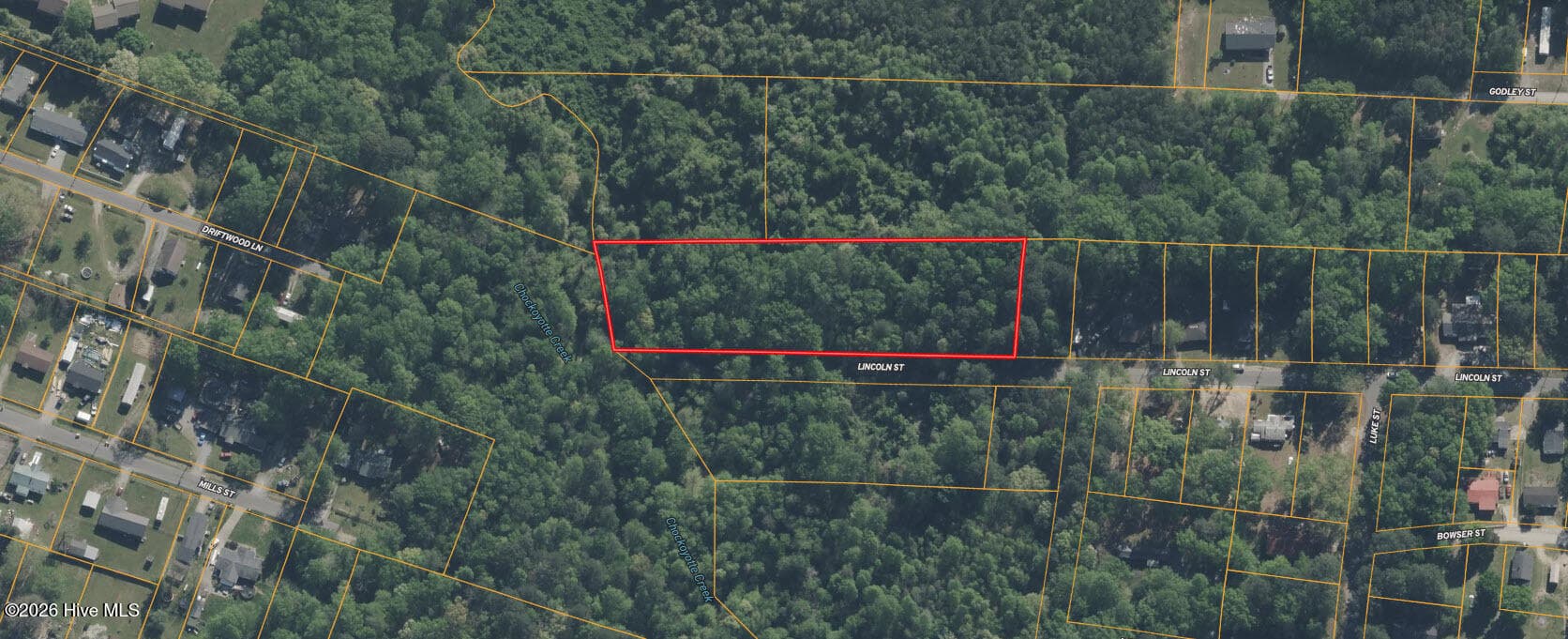 Undeveloped at 0 Lincoln Street, Roanoke Rapids, NC 27870, photo 4 of 7