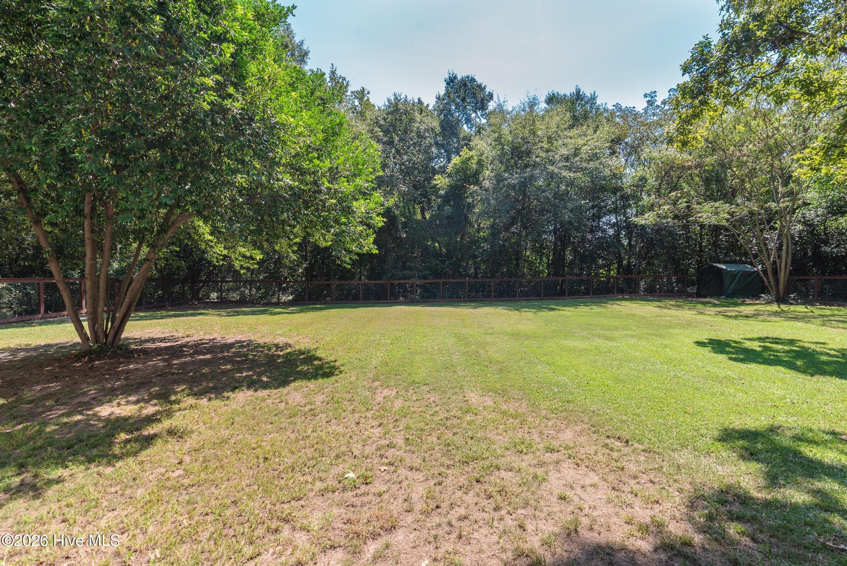 Huge backyard - 210 Dunbarton Circle SE, Aiken, SC 29803