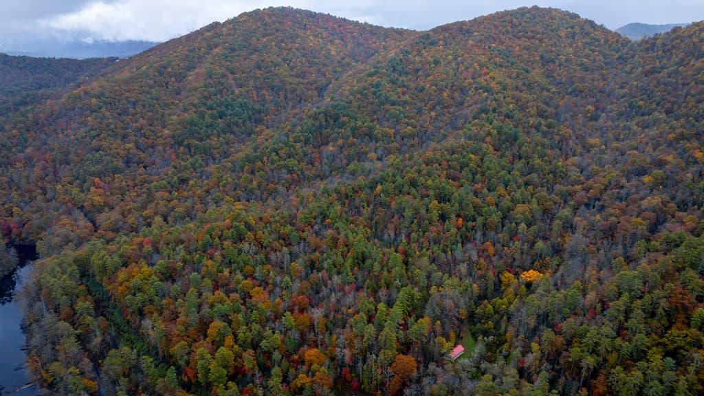 Wooded at 3549p Snowbird Road, Robbinsville, NC 28771, photo 5 of 5