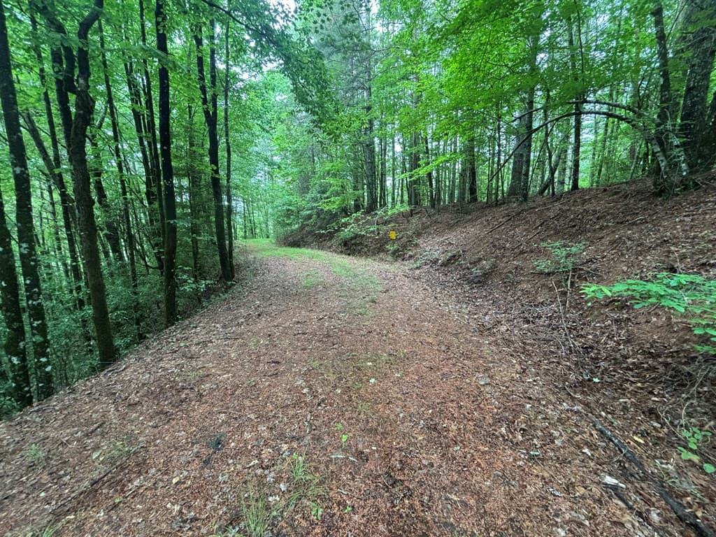 Land at Lot 11 Horse Camp Drive, Hayesville, NC 28904, Hayesville, photo 3 of 11