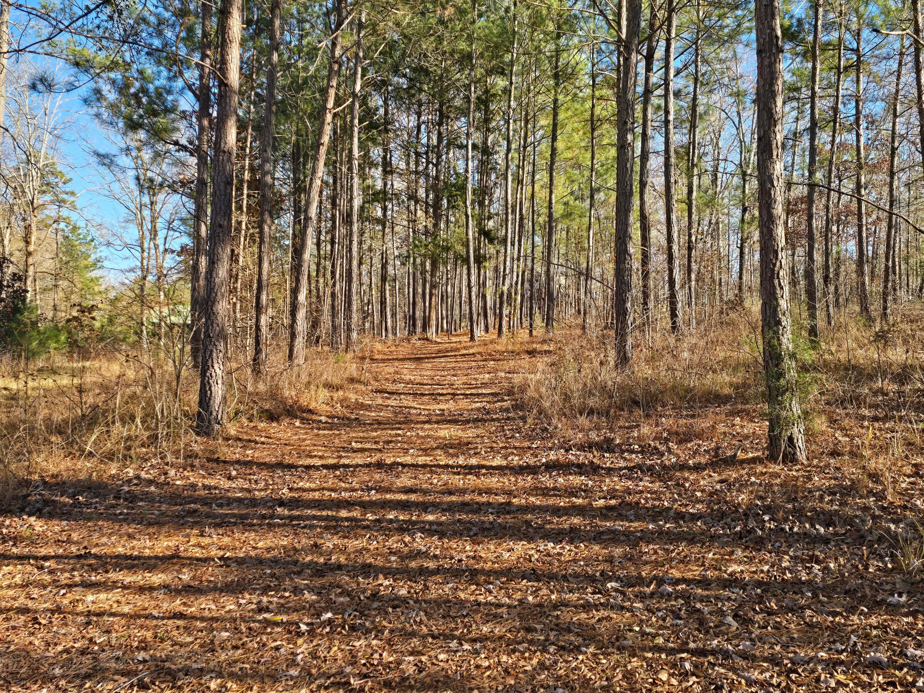 Residential Lot at 1102 Dogwood Drive, Lincolnton, GA 30817, photo 40 of 46