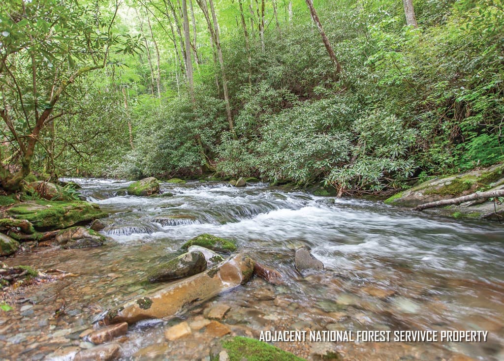 Land at 399 Shell Stand Road, Almond, NC 28702, photo 21 of 21